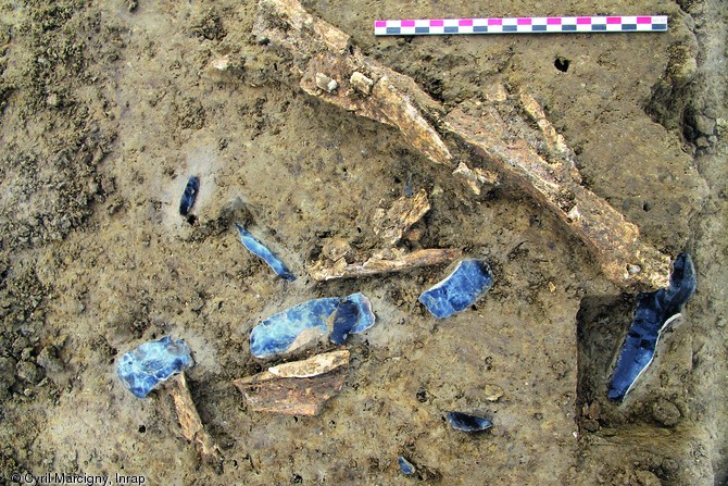 Vue de détail de restes osseux mêlés aux produits de débitage sur une des zones du campement paléolithique supérieur fouillé à Alizay (Eure) en 2011-2012.  Photo publiée dans le numéro 35 de la revue de l'Inrap Archéopages.