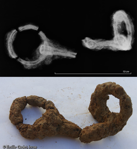 Mors d'animaux en fer et leur radiographie, habitat de La Claraiserie, IIe s. avant notre ère - Ier s. de notre ère, Ossé (Ille-et-Vilaine), 2013.Les Gaulois utilisaient les chevaux comme montures mais aussi, au même titre que les bœufs, en attelage de trait et de labour.