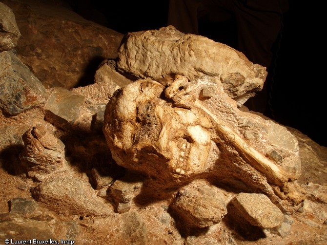 Fossile de Little Foot, grotte de Silberberg à Sterkfontein (Afrique du Sud). Peut-être poursuivi par un prédateur, cet australopithèque a fait une chute fatale de plus de vingt mètres, son corps roulant sur un talus d’éboulis, avant de s’immobiliser, un bras tendu au dessus de sa tête, l’autre roulé contre lui. Au fil du temps, sa dépouille a été recouverte par une accumulation de sédiments et de cailloutis, sur plus de dix mètres d’épaisseur. Il serait un quasi contemporain de Lucy.