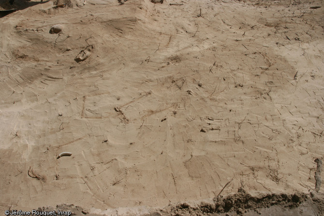 Plage des Raisins clairs à Saint-François (Guadeloupe), 2014.Ce cimetière est connu depuis plusieurs années en raison de l’apparition régulière d’ossements humains et de clous de cercueil. Dans les années 1990, la découverte d’un collier de servitude associé à un crâne avait évoqué la présence d’un cimetière d’esclaves.