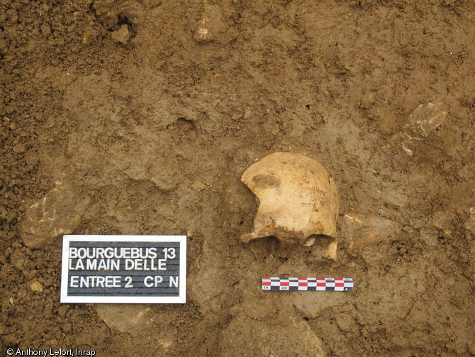 Une des six calottes de crâne humain retrouvées sur le site de la Main Delle à Bourguébus (Calvados), 2013.Ces fragments de crânes humains, reliques précieuses d’ancêtres glorieux ou d’ennemis vaincus, devaient être exposés à l’entrée de l’enceinte de la place forte. 