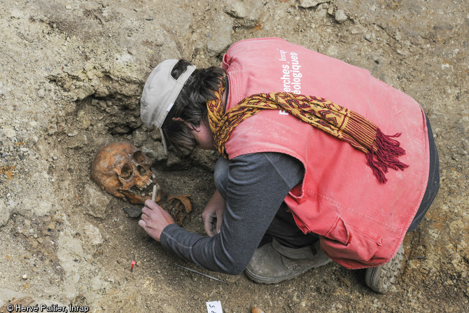 Fouille de l'une des cinq sépultures mises au jour dans le prieuré de la Madeleine, abbaye de Fontevraud (Maine-et-Loire), 2013.Bien que les tombes retrouvées soient très perturbées, ces découvertes amènent des pistes de réflexion sur la gestion de l'espace funéraire à travers le temps au sein de l'espace monastique.