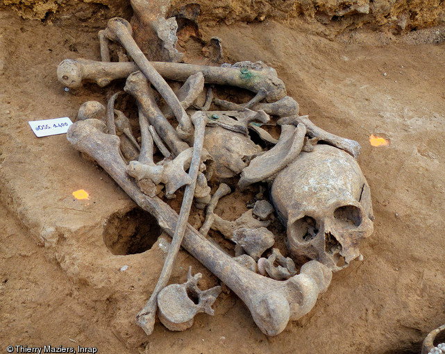 Ossements en position secondaire déposés dans une fosse oblongue, XIXe s., ancien cimetière des Petites-Crottes, Marseille, 2013.