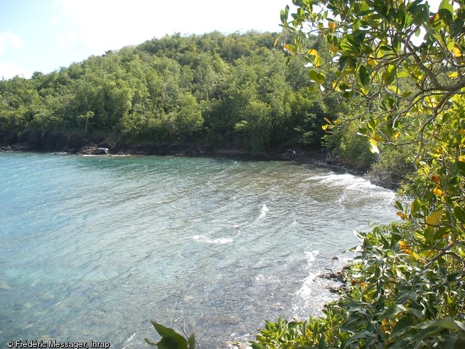 Vue générale du site de l'Anse Bellay (Martinique) depuis l'ouest, 2013.  Localisé dans la partie sud de la baie de Fort-de-France, le site a révélé des ossements humains, mis au jour par l'érosion marine. 