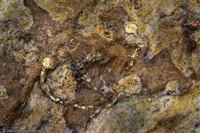 Collier en feuille d'or provenant d'une sépulture datée du IIe s ayant appartenu à un aristocrate gaulois inhumé avec sa tombe à char, découverts à Warcq (Ardennes) en 2014 .
