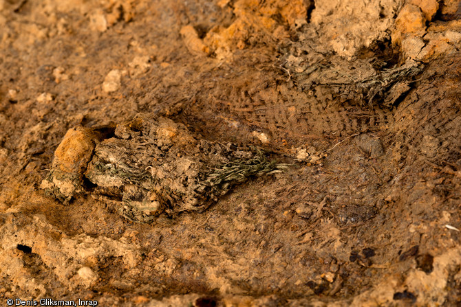 Fragments d'un filet de camouflage britannique peint en vert, visible sur la surface oxydée d'une caisse de munitions. Datant de l'opération Spring (offensive du 25 juillet 1944) et découverts dans une fosse à Bourguébus (Calvados), 2013.