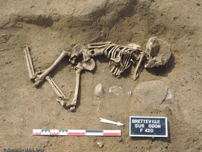 Inhumation isolée mise au jour dans l'enclos d'une ferme gauloise (IIIe-Ier s. av. notre ère) à Bretteville-sur-Odon (Calvados), 2015.  Le défunt porte un bracelet au bras. 